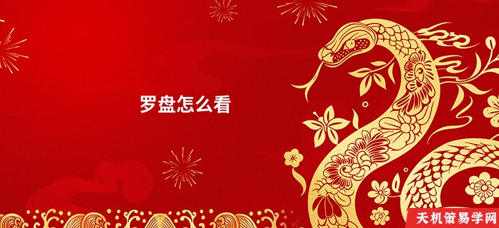 罗盘怎么看