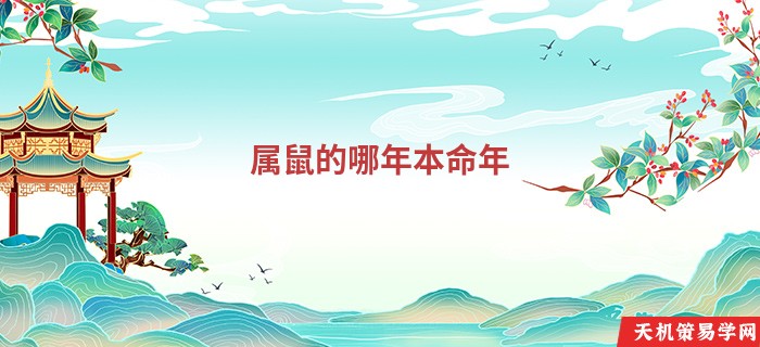 属鼠的哪年本命年