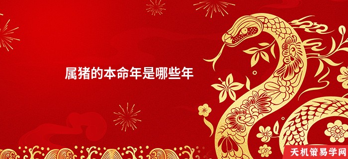 属猪的本命年是哪些年