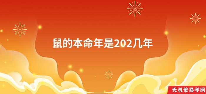 鼠的本命年是202几年