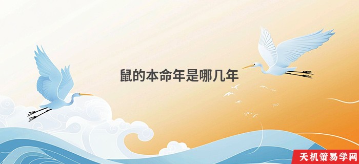鼠的本命年是哪几年