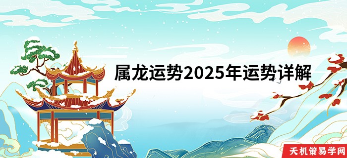 属龙运势2025年运势详解