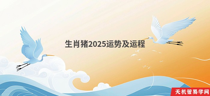 生肖猪2025运势及运程