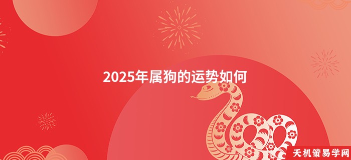 2025年属狗的运势如何