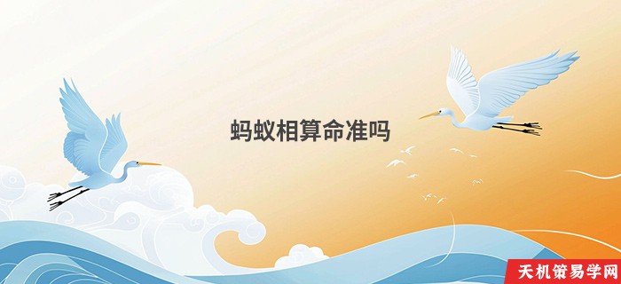 蚂蚁相算命准吗