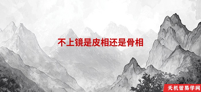 不上镜是皮相还是骨相