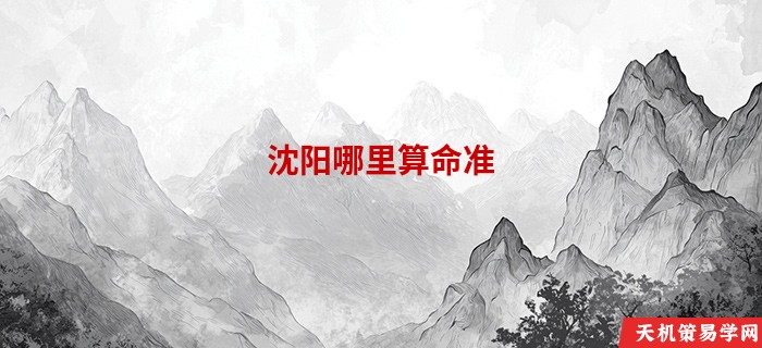 沈阳哪里算命准
