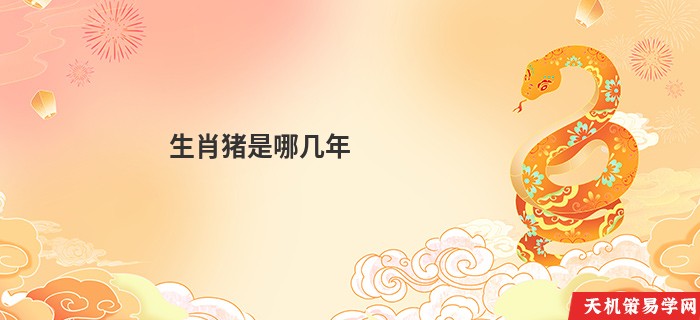 生肖猪是哪几年