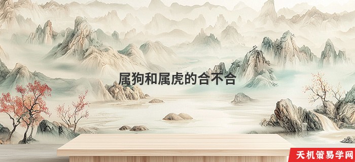 属狗和属虎的合不合