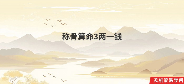 称骨算命3两一钱