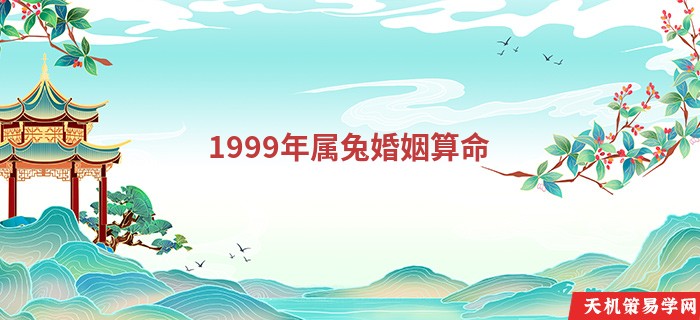 1999年属兔婚姻算命