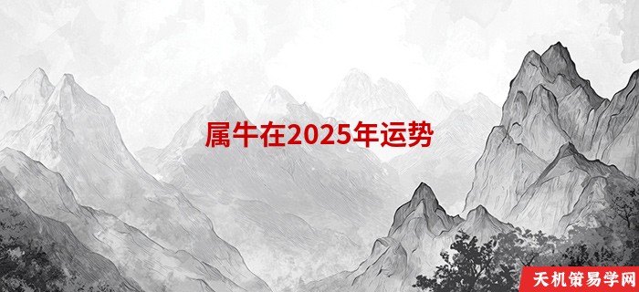 属牛在2025年运势