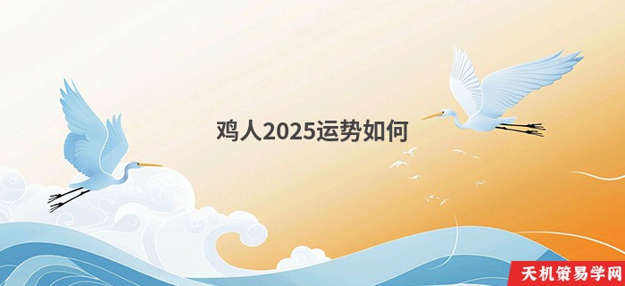 鸡人2025运势如何