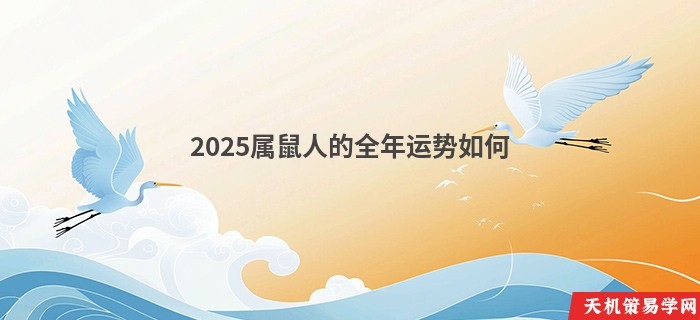 2025属鼠人的全年运势如何