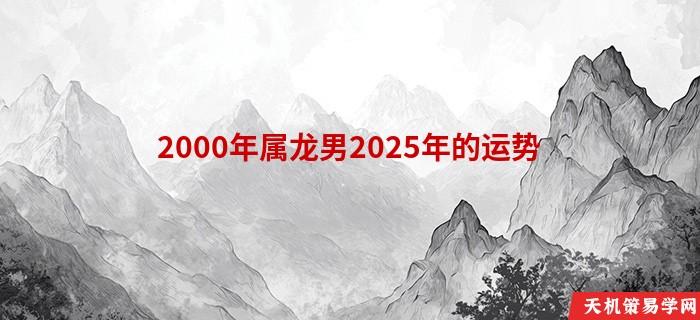 2000年属龙男2025年的运势