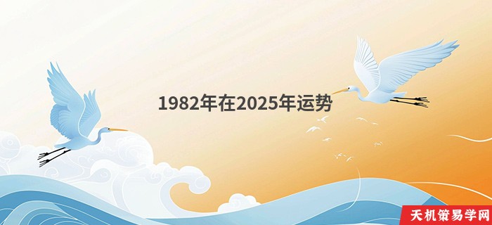 1982年在2025年运势
