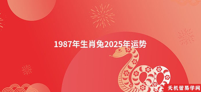 1987年生肖兔2025年运势