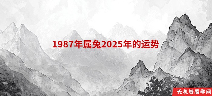 1987年属兔2025年的运势