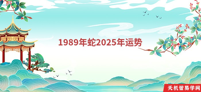 1989年蛇2025年运势