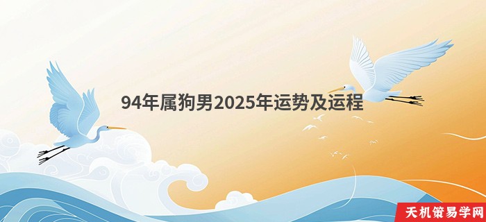 94年属狗男2025年运势及运程