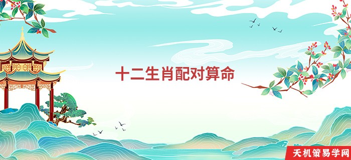 十二生肖配对算命