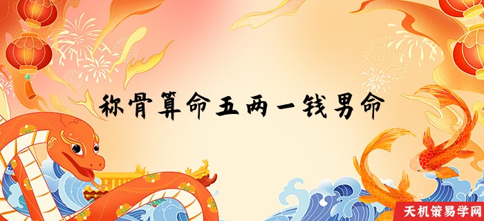 称骨算命五两一钱男命