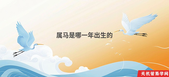 属马是哪一年出生的