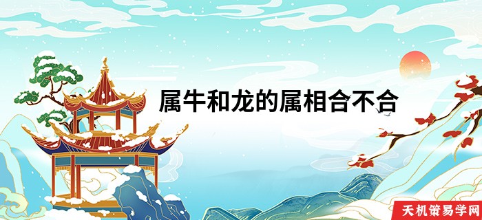 属牛和龙的属相合不合