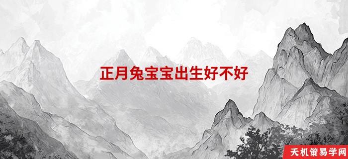 正月兔宝宝出生好不好