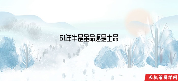 61年牛是金命还是土命