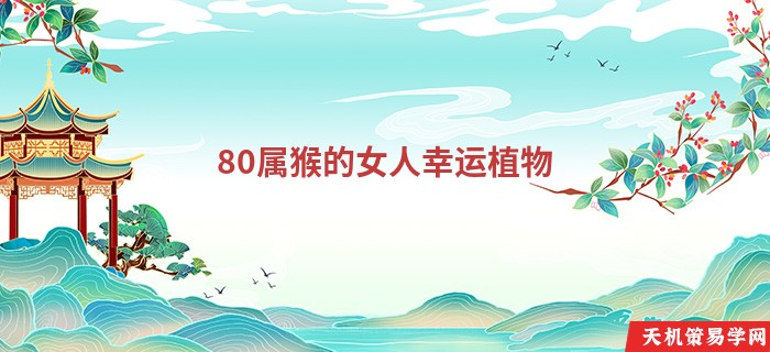 80属猴的女人幸运植物