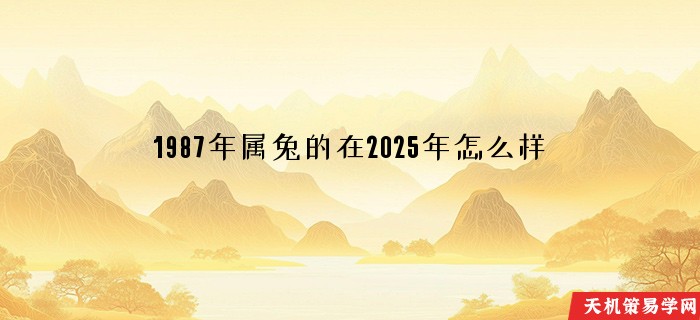 1987年属兔的在2025年怎么样