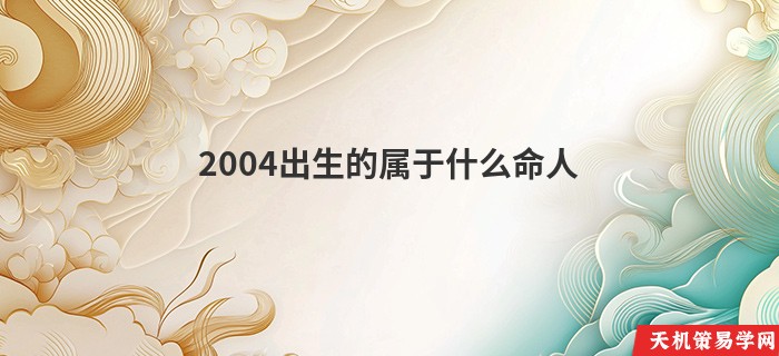 2004出生的属于什么命人
