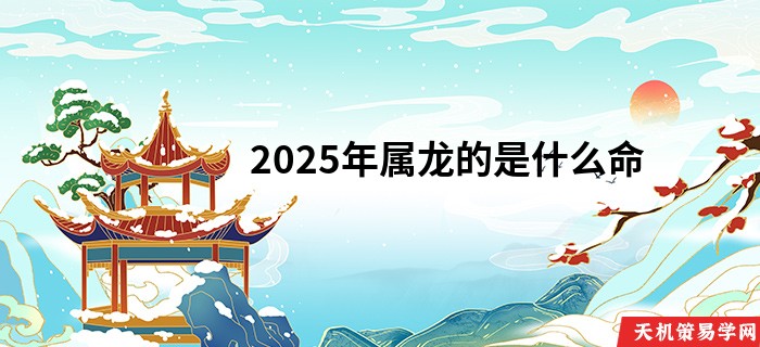 2025年属龙的是什么命