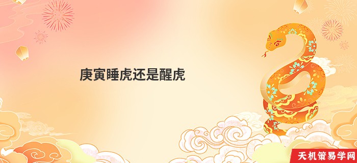 庚寅睡虎还是醒虎