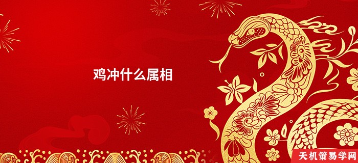 鸡冲什么属相