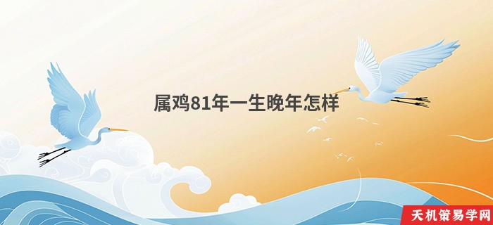 属鸡81年一生晚年怎样