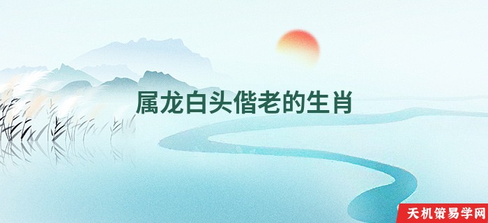 属龙白头偕老的生肖