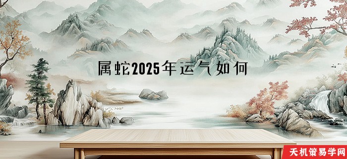 属蛇2025年运气如何