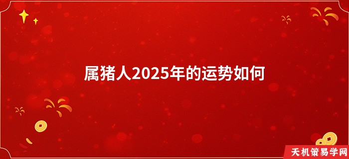 属猪人2025年的运势如何