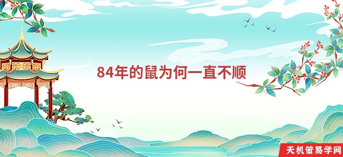 84年的鼠为何一直不顺