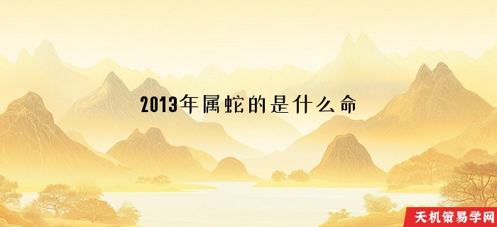 2013年属蛇的是什么命