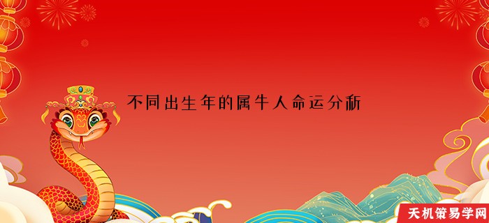 不同出生年的属牛人命运分析