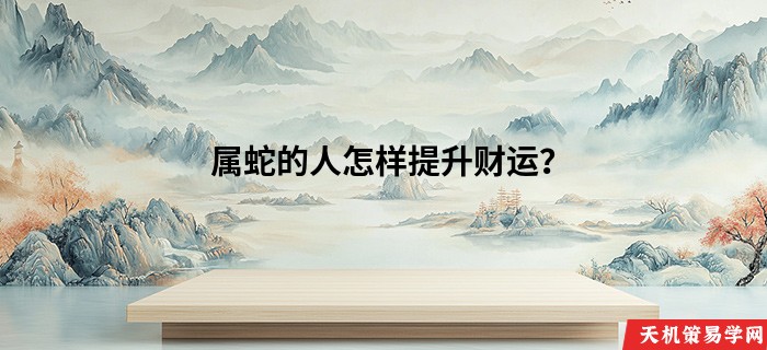 属蛇的人怎样提升财运？