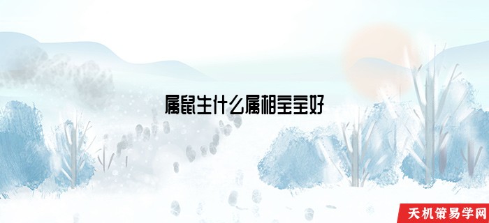 属鼠生什么属相宝宝好