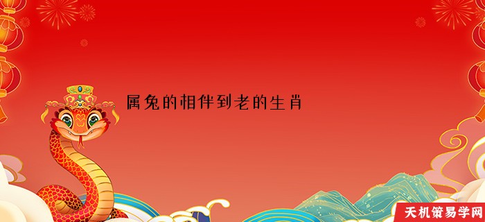 属兔的相伴到老的生肖