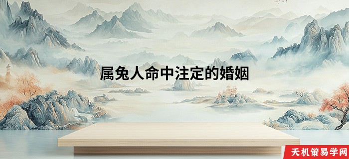 属兔人命中注定的婚姻